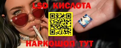 PSILOCYBIN Будённовск