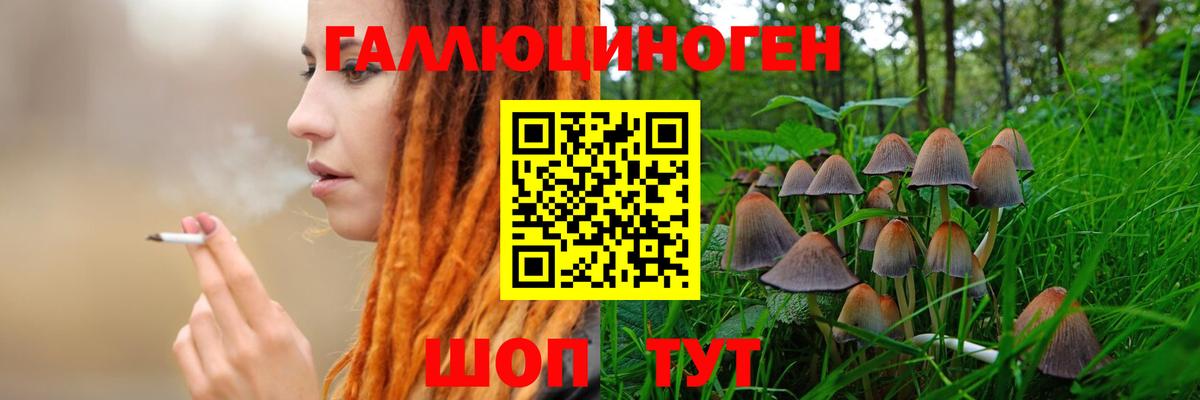 Галлюциногенные грибы GOLDEN TEACHER Подольск